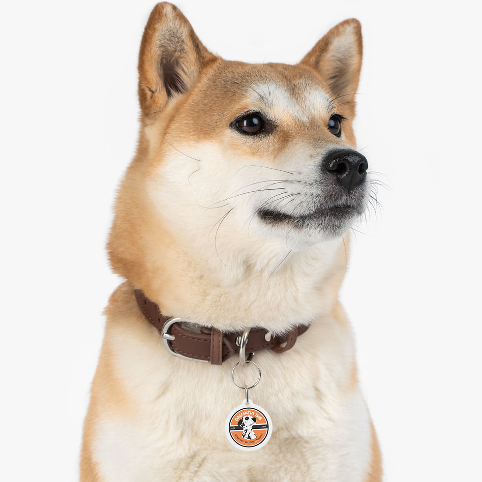 Thumbnail: Dalmatia Breeding & Boarding Pet Tag — Personalized Dalmatian Dog ID Tag