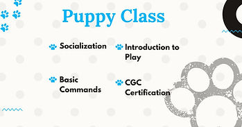 Puppy Class