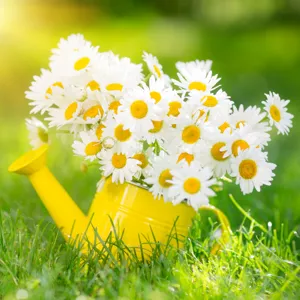 spring-flowers.png.webp