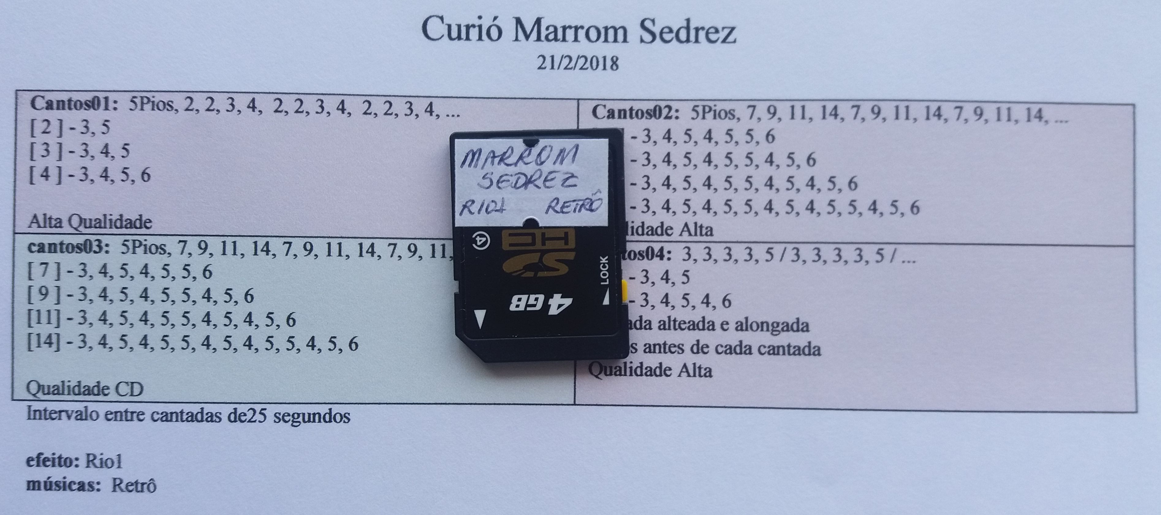 Montagem de cartão - Pássaro Eletrônico 3