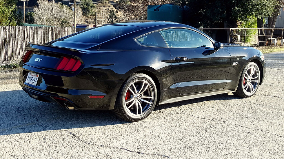 6_2015 Mustang gt.jpg