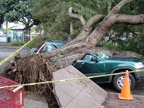 Car Insurance Quotes