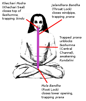 क्या मुद्रा की साधना द्वारा मनुष्य शारीरिक और मानसिक शक्तियों की वृद्धि करके अपने आध्यात्मिक उद्देश्