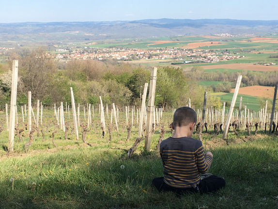 Sérénitée au bord des vignes d'Auvergne
