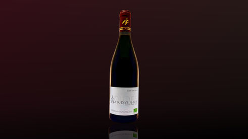 Vin d'Auvergne rouge Boudes