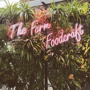 Foodgasm: Farm Foodcraft