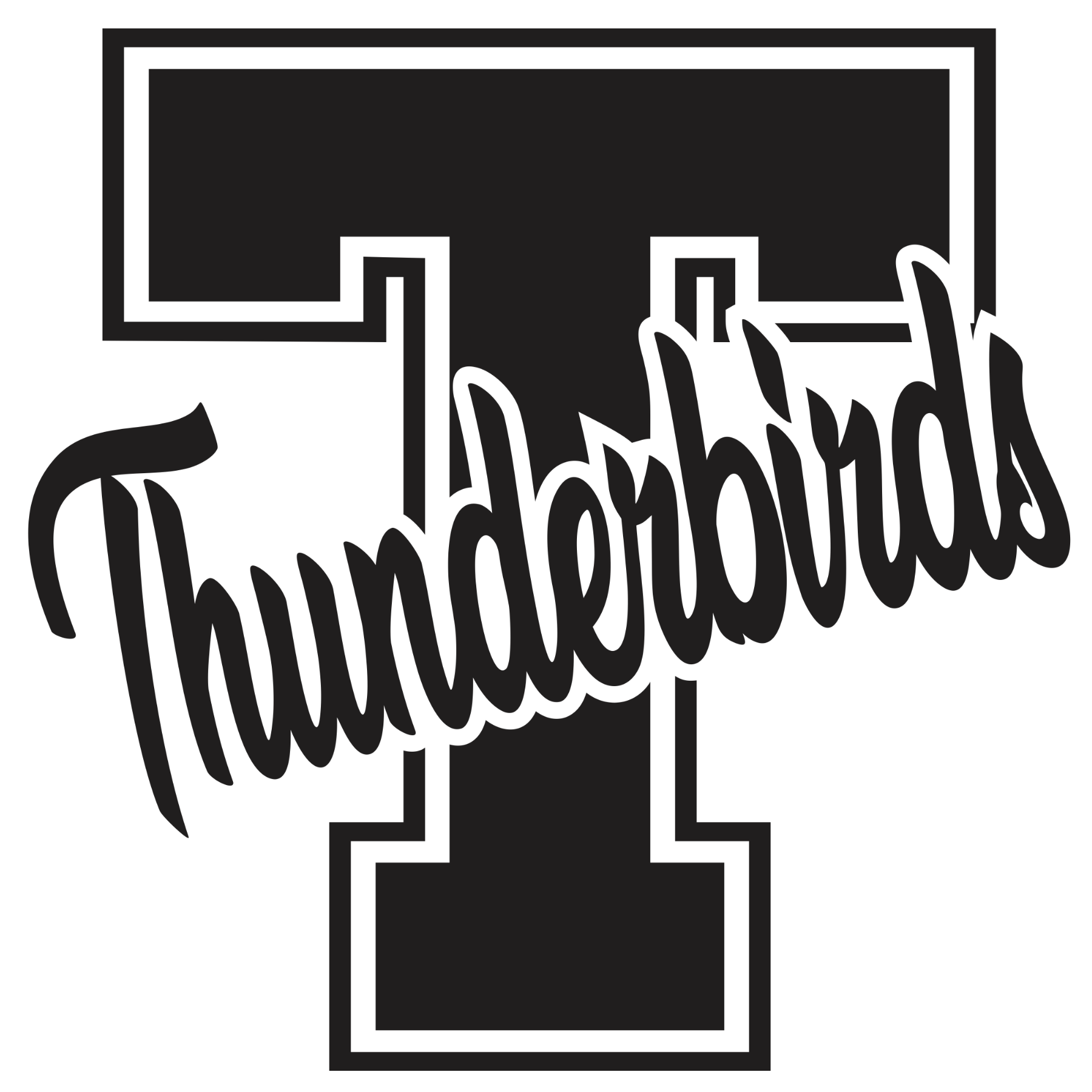 844 T Thunderbirds