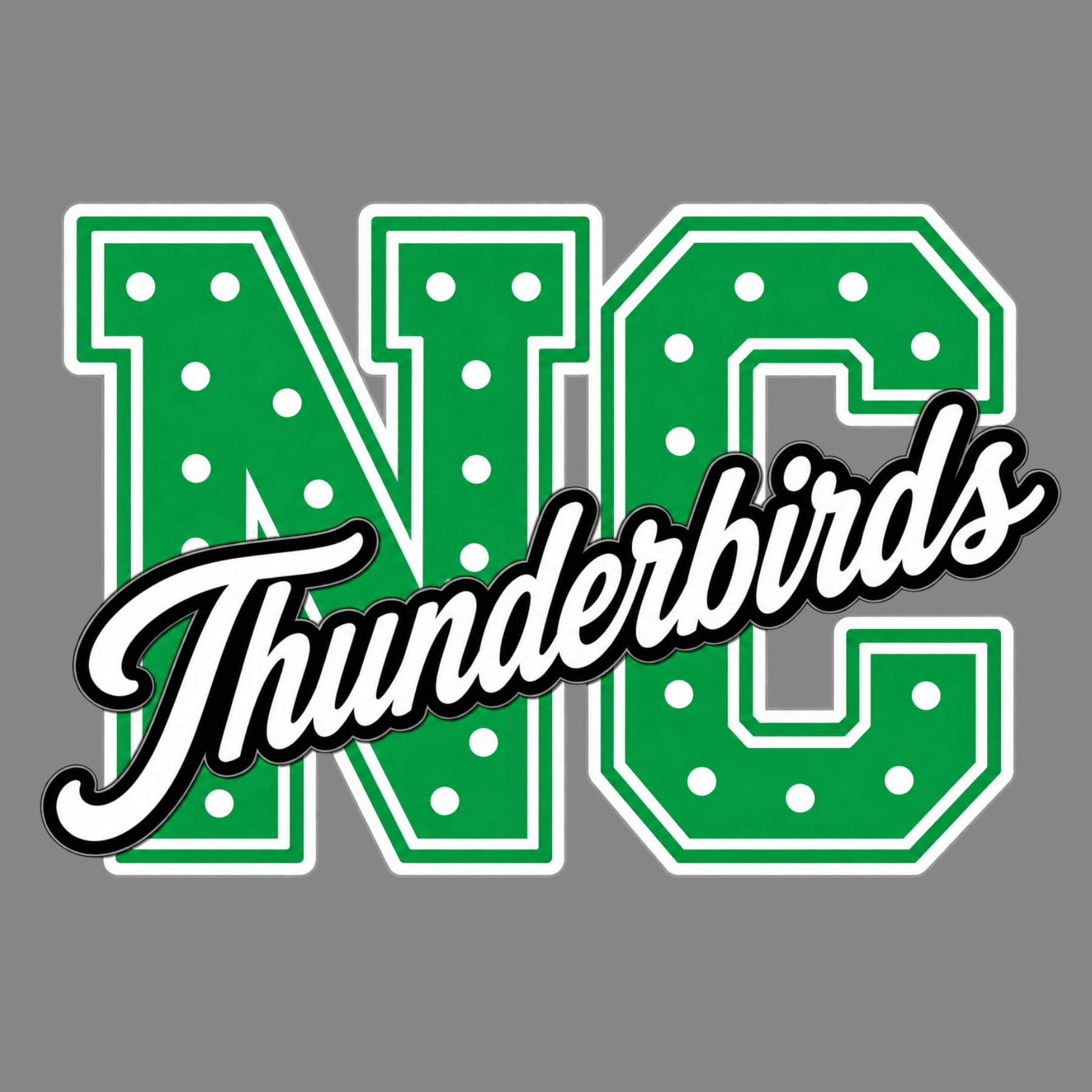 239 NC Thunderbirds