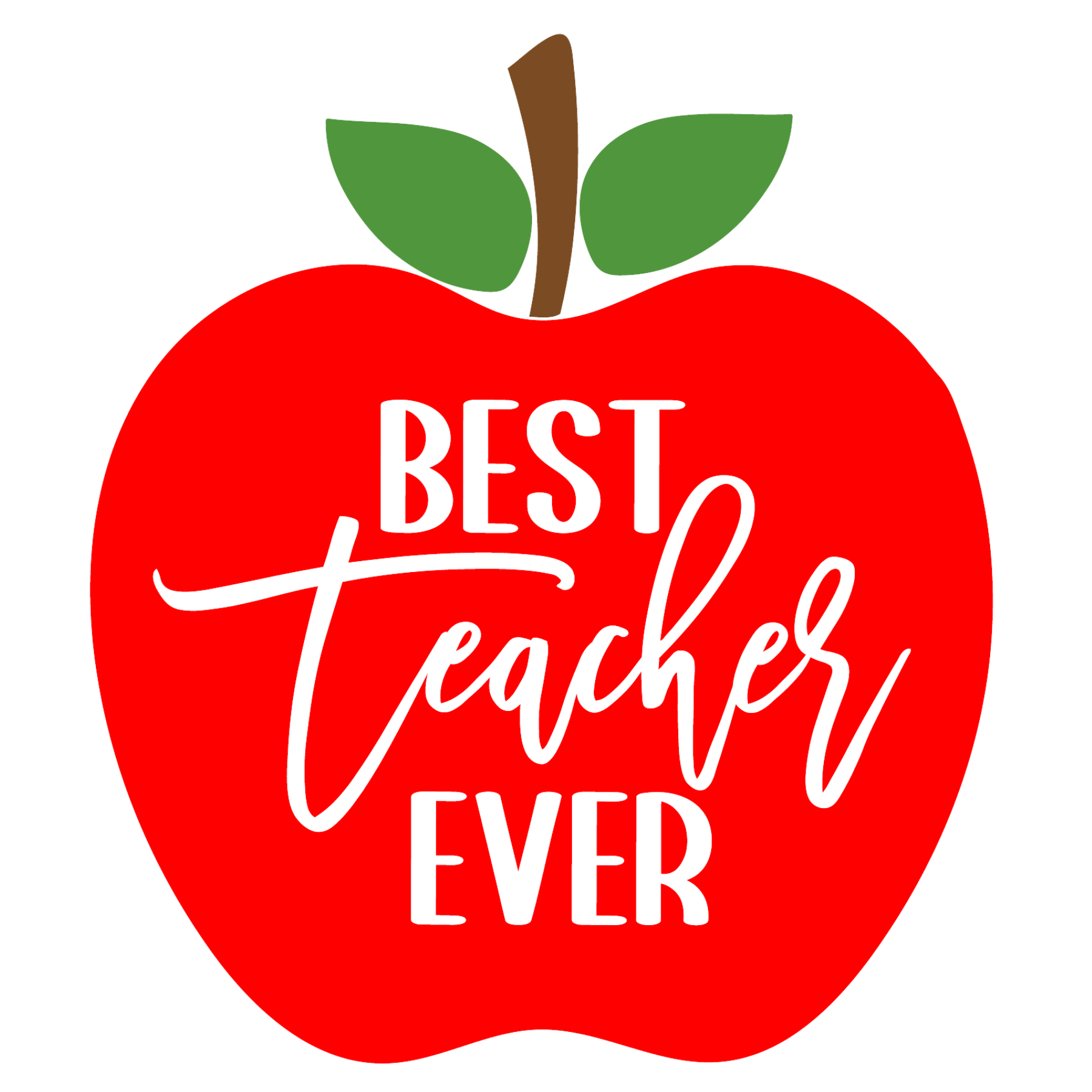 380 Best Teacher Ever