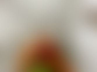 Flowers being delivered