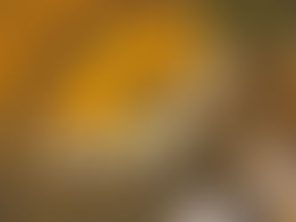 Art, Identity and Cultural Expression: Reflections from Episode 1 of Voices from East to West