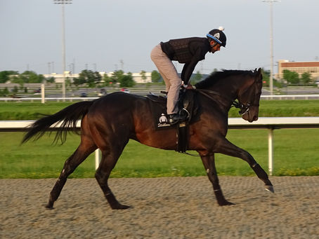 Contemplation Again!