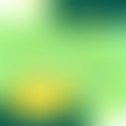 6 Önemli Diyet İpuçları