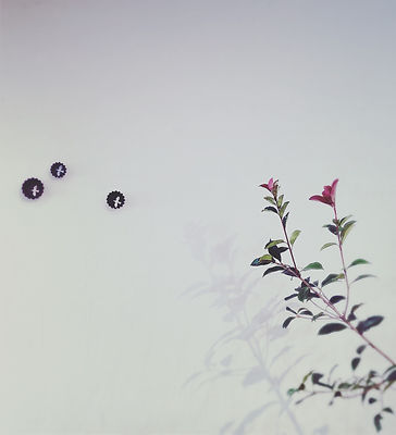 image0 (1).jpeg
