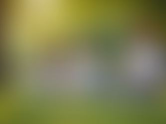 Nurturing Wellness: Mindfulness for Kids and Families