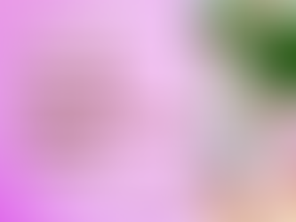 Feng Shui in numerology