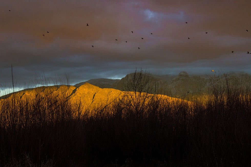 corrales, NM