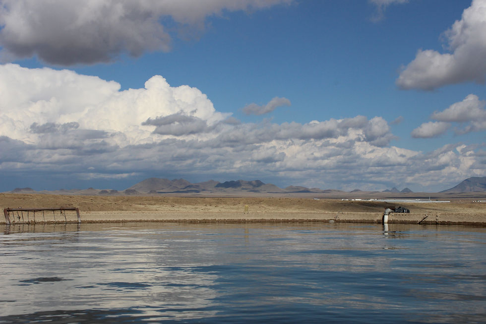 marfa, TX