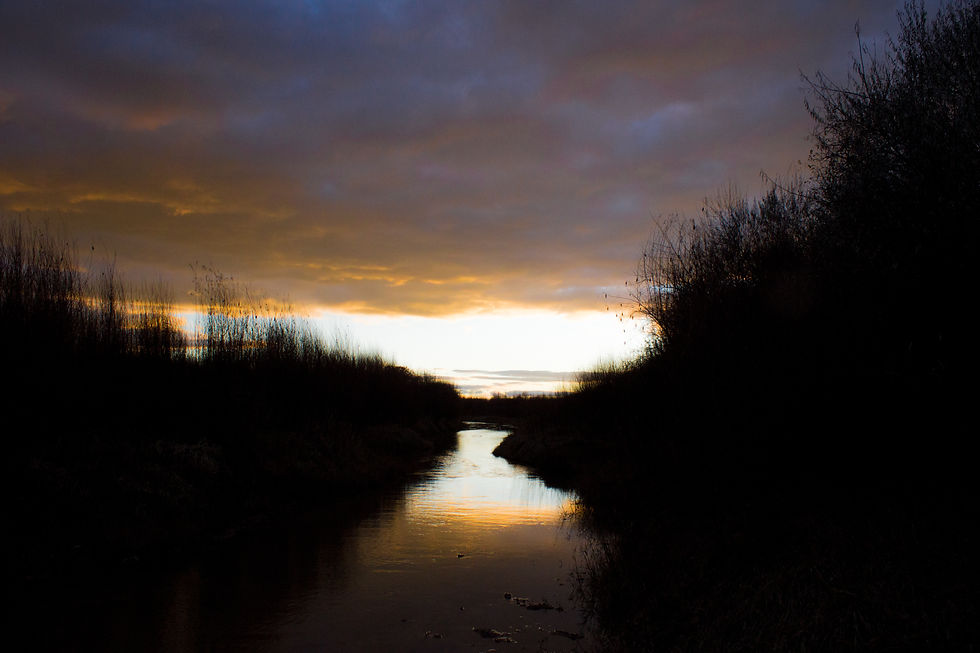 corrales, NM