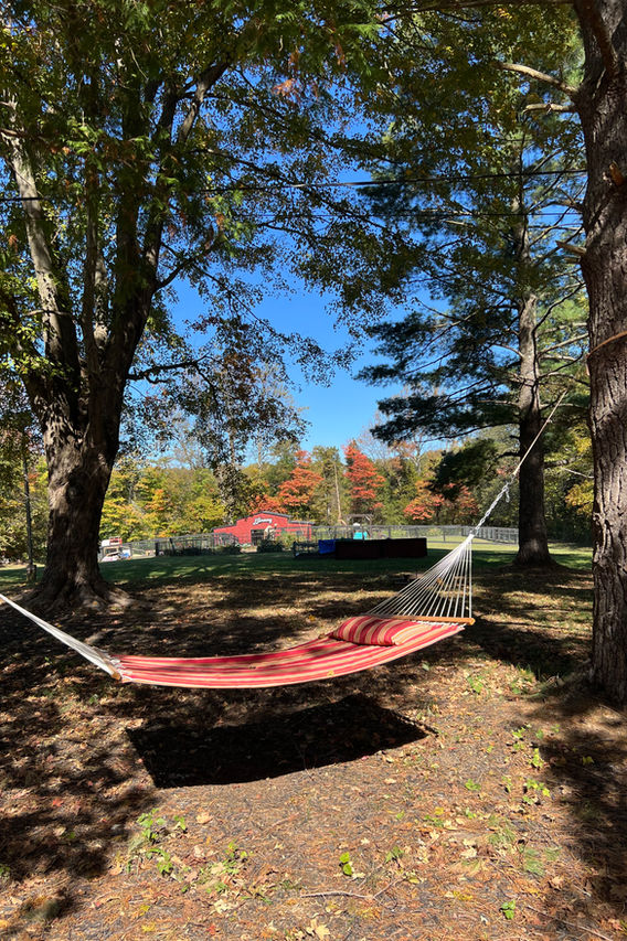 Hammock in the foreground, Harmony barn and animal enclosures in the background.