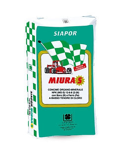 Miura_S 1.jpeg