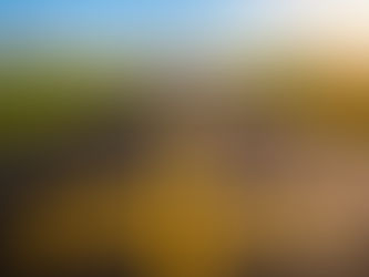 How American optimism keeps getting punched in the face by its government