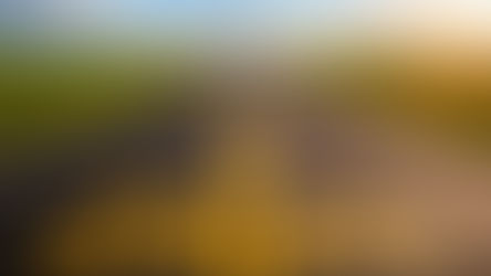 How American optimism keeps getting punched in the face by its government