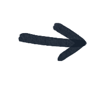 endosperm