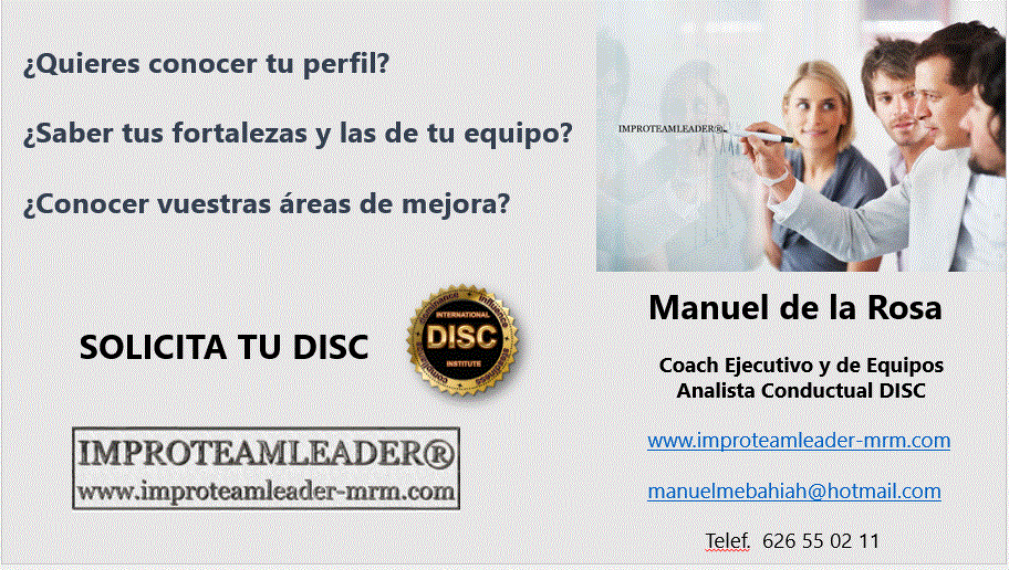 improteamleader, disc analisis, anlista conductual