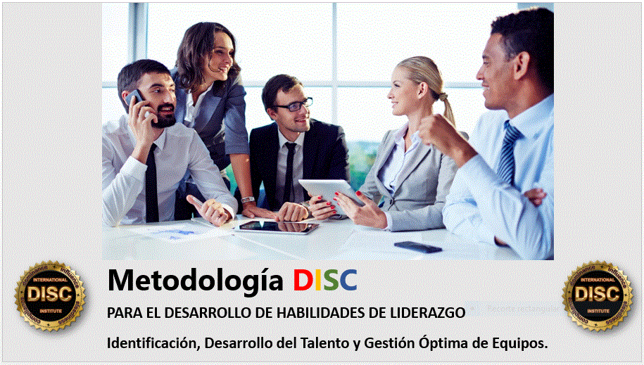 DISC IMPROTEAMLEADER.GIF