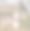 295096127_5297138280381113_6225584235147561869_n_edited_edited_edited.png