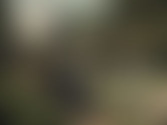 A colorized postcard features a narrow gauge engine traveling under a rustic bridge in Mount Gretna.