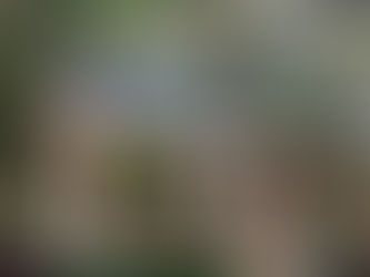 A light blue cottage with a deep front porch and a stained glass window at peak.