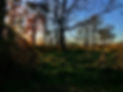 IMG_8771.JPEG