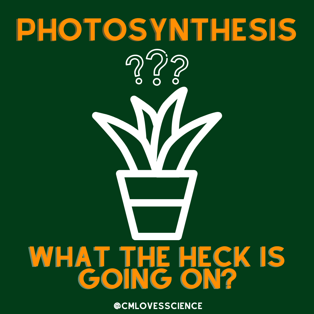 Energy Dynamics: PS