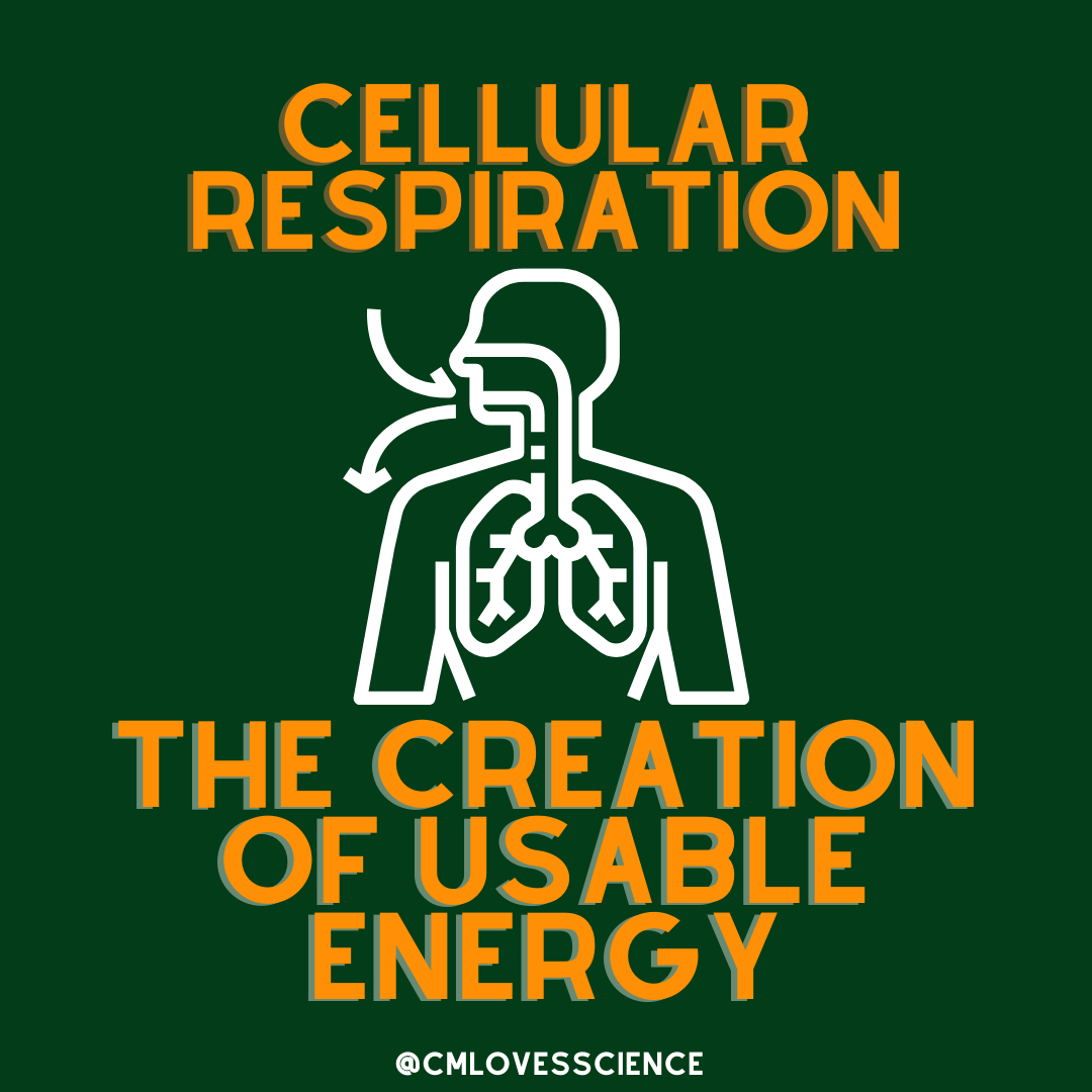 Energy Dynamics: CR