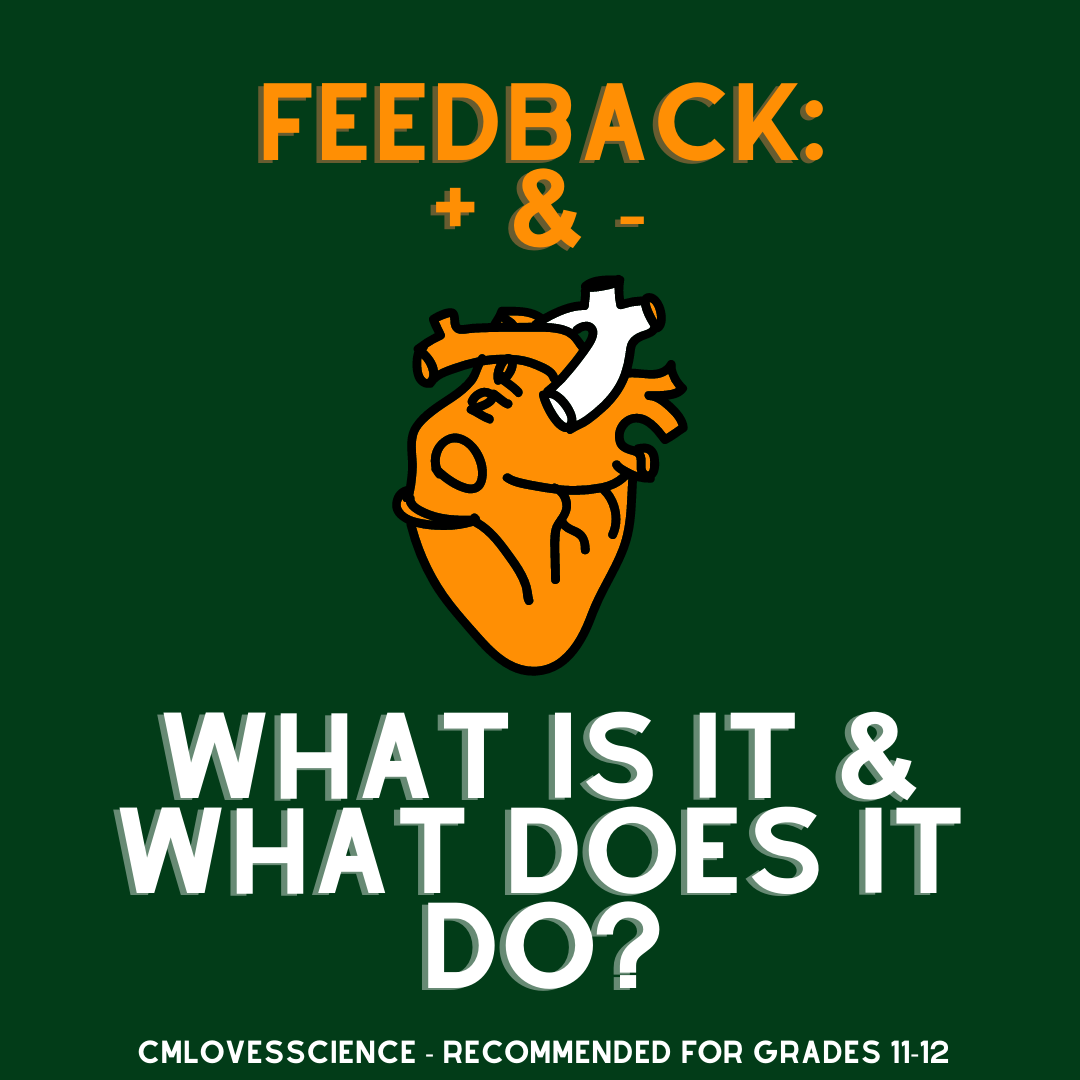 Feedback Loops