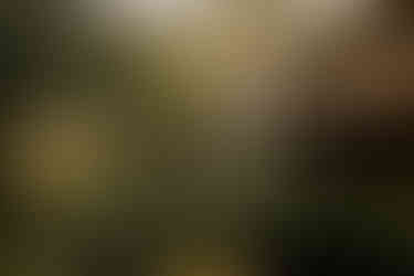 Cama de rede em cima de um lago