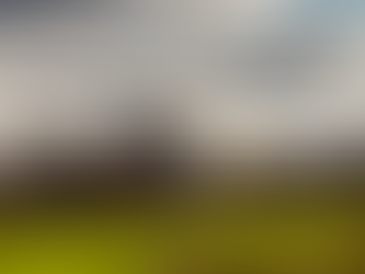 Von der Großstadt in das Dorf