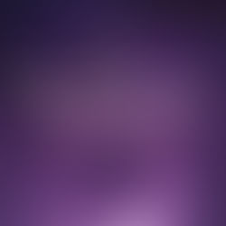 7 Hints of Laylat al-Qadr: The Hidden Power of This Blessed Night