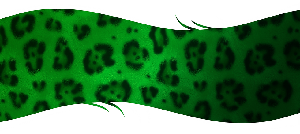 Jaguar_skin_band_lite.png