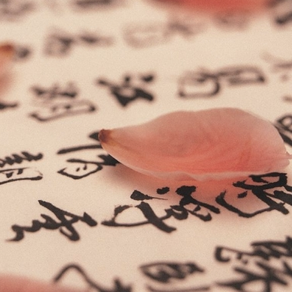 LA ESCRITURA CHINA: TIPOS Y ESTRUCTURA
