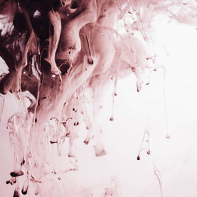 Cat Pernis vs. Cat Lateks