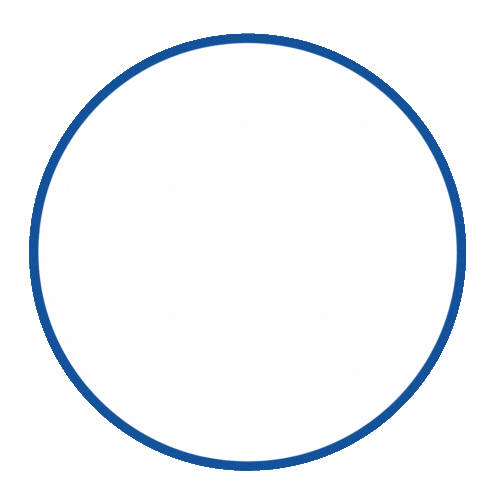 AnimatedTPFullColorLogo.gif