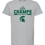 Thumbnail: EASTSIDE 2025 STATE CHAMPS SOFTBALL GRY T-SHIRT