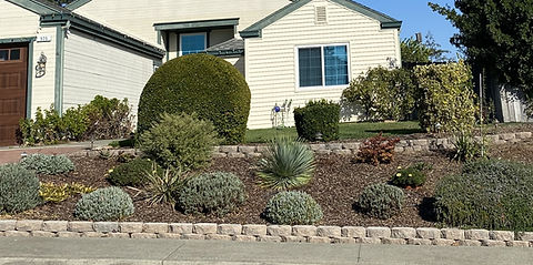 Before drought tolerant gardening in California