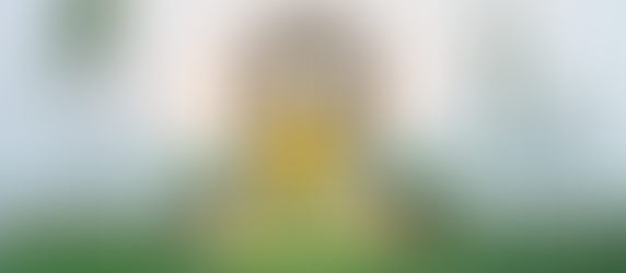 Encontro para noivas em Recife: Haviva Festas