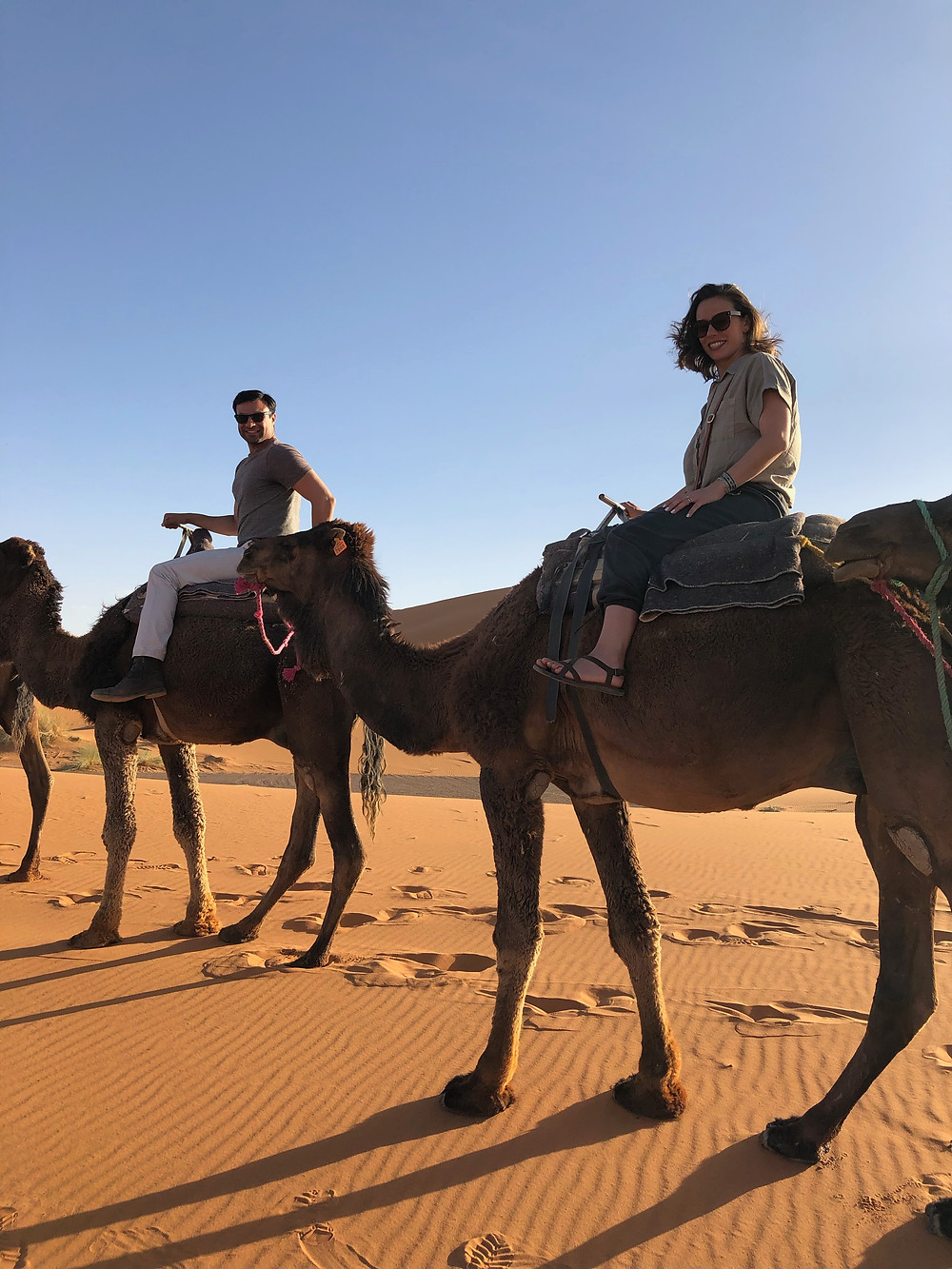 Riding camels in the Sahara Desert, Morocco