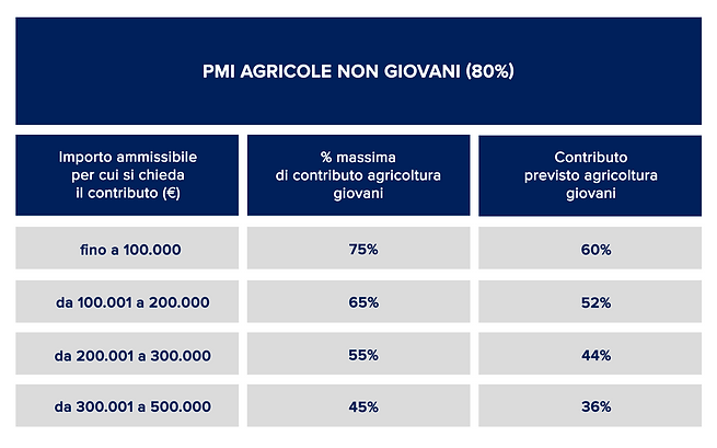 Tabella Fondo Innovazione - Contributo a fondo perduto_02