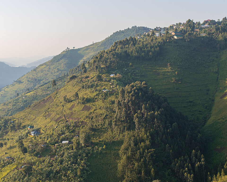 Bwindi Impenetrable National Forest